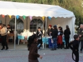 brancaleone-carnevale-18