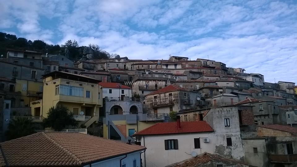 10003472_10203342522069679_1621217770_n