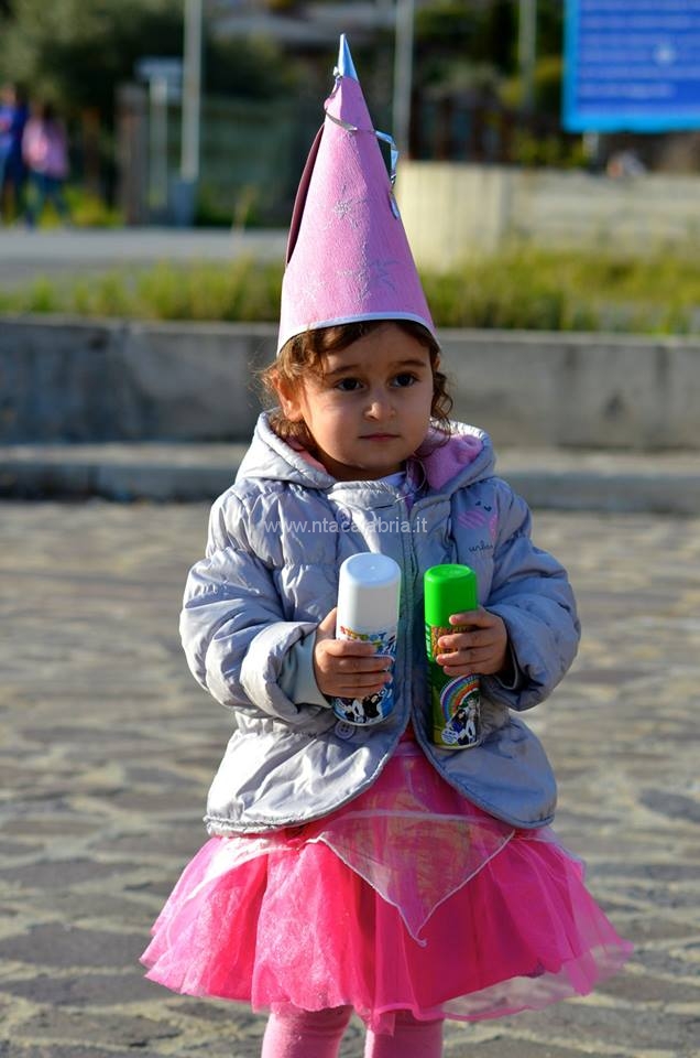 1976911_10203343152685444_729375094_n