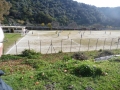 memorial-vincenzo-infortuna (4)