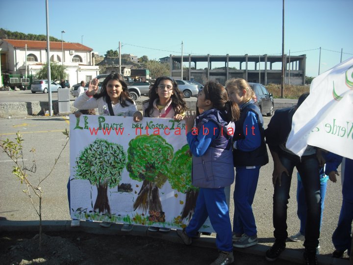 festa-albero-melito-06