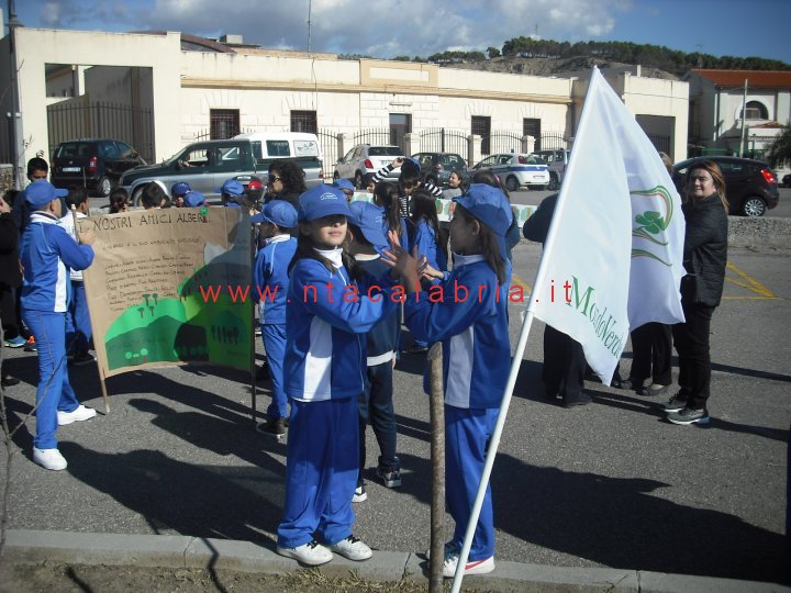 festa-albero-melito-07