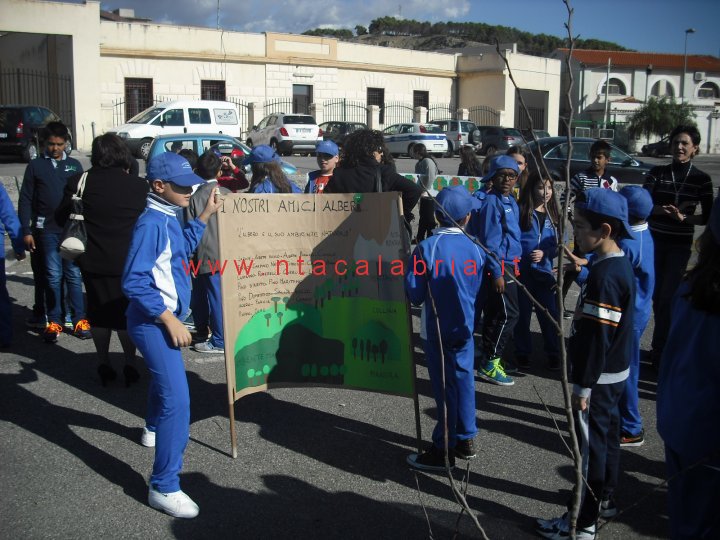 festa-albero-melito-08