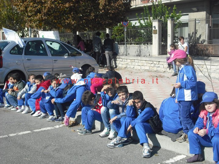 festa-albero-melito-12