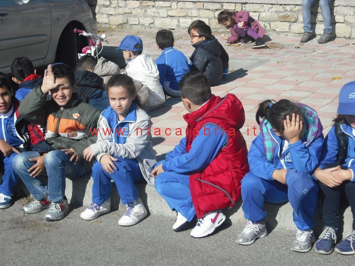 festa-albero-melito-13