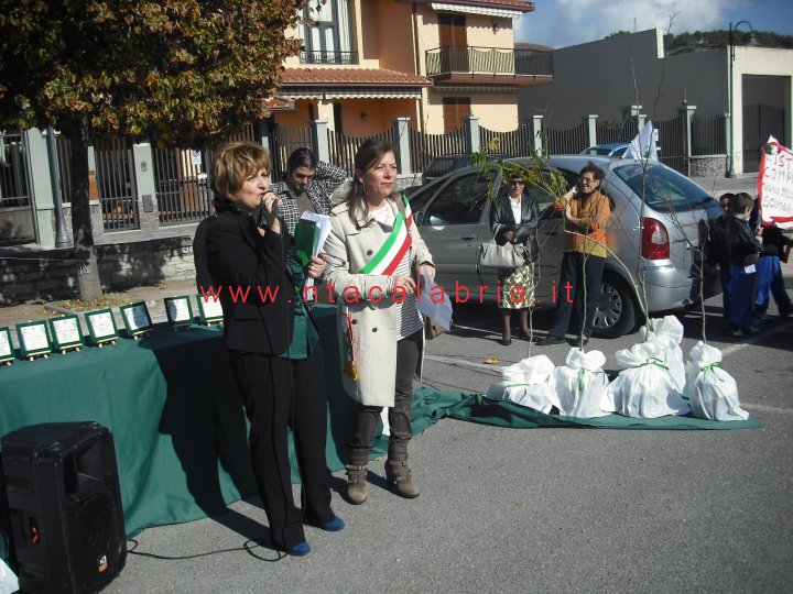 festa-albero-melito-16