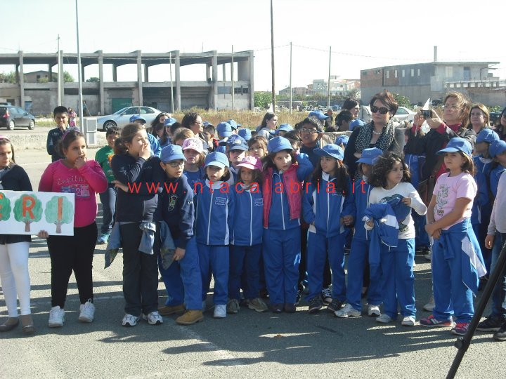 festa-albero-melito-19