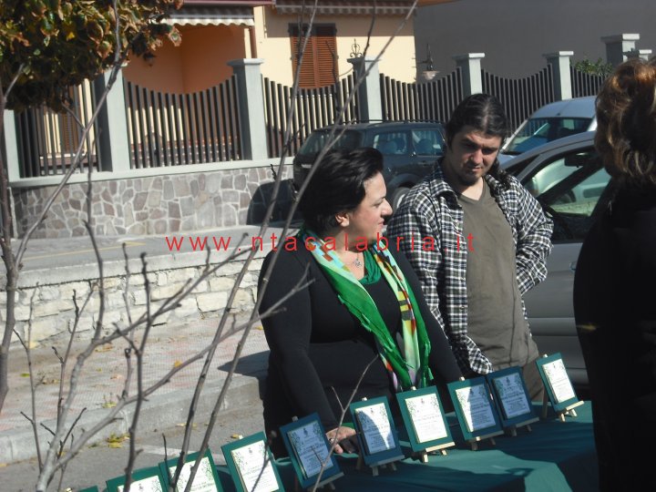 festa-albero-melito-21