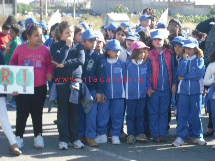 festa-albero-melito-22