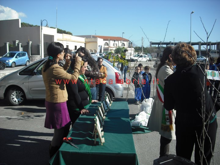 festa-albero-melito-23