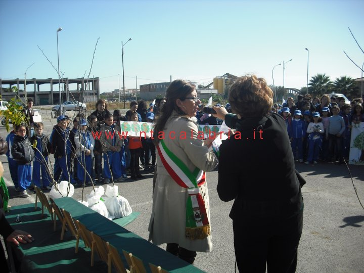 festa-albero-melito-24