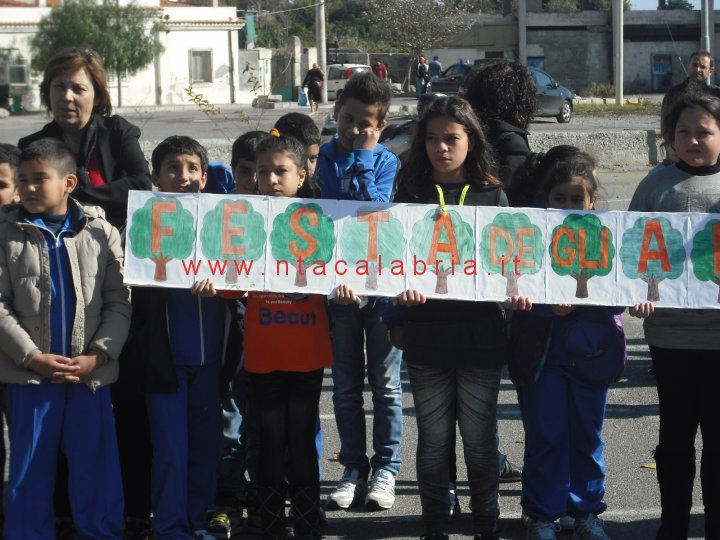 festa-albero-melito-26