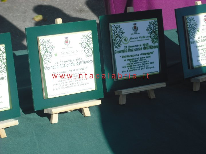 festa-albero-melito-29