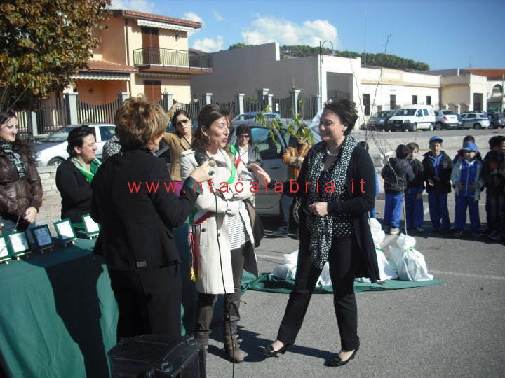 festa-albero-melito-30