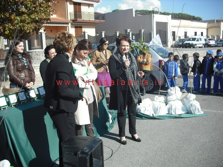 festa-albero-melito-31