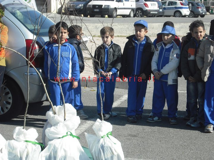 festa-albero-melito-32