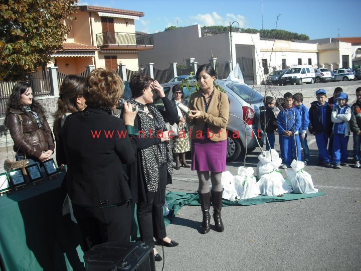 festa-albero-melito-34