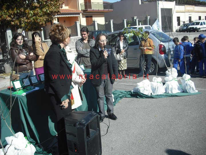 festa-albero-melito-36