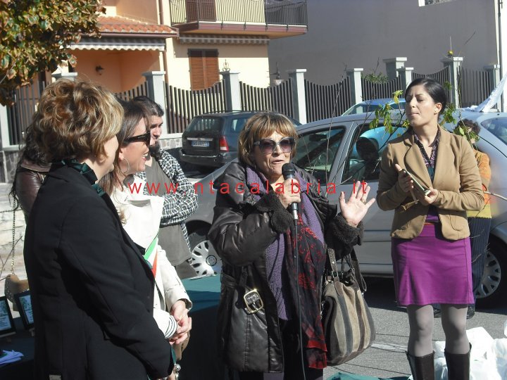 festa-albero-melito-40