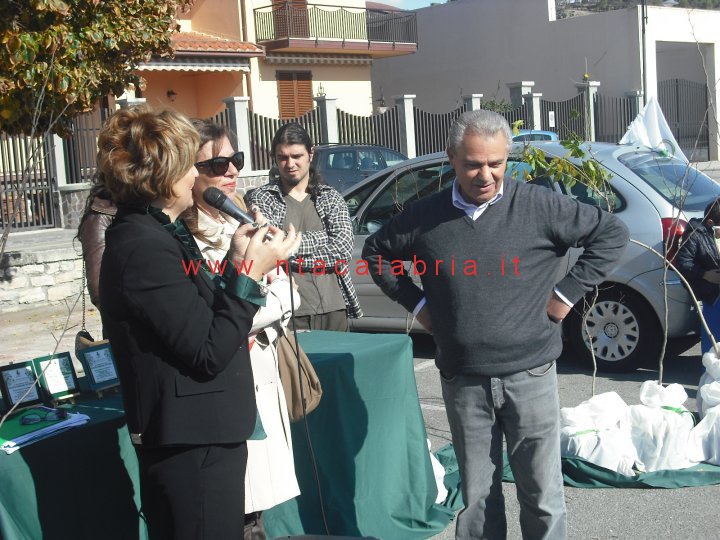 festa-albero-melito-41