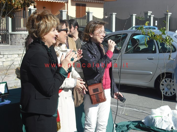 festa-albero-melito-42