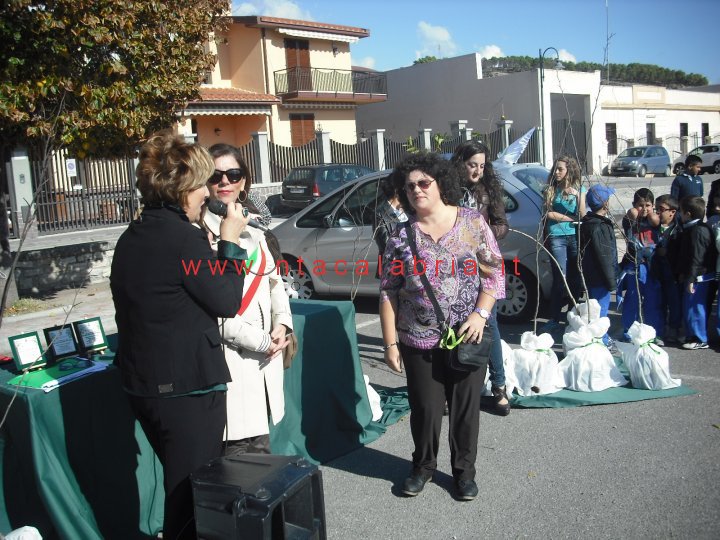 festa-albero-melito-43