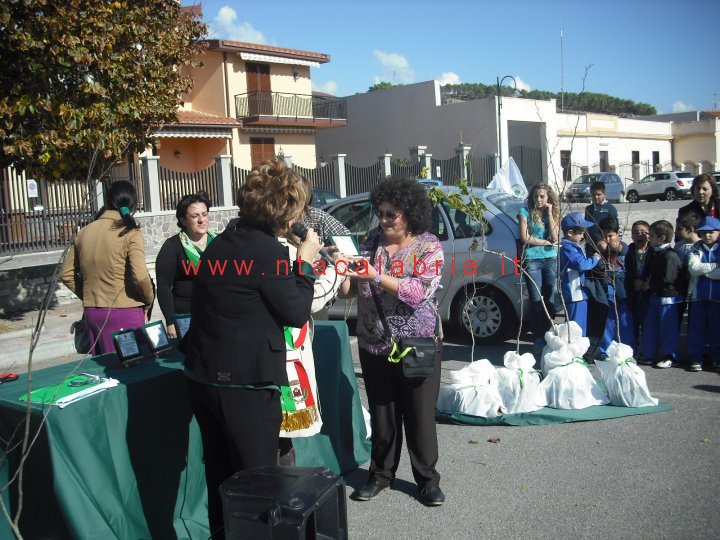 festa-albero-melito-44 festa-albero-melito-44