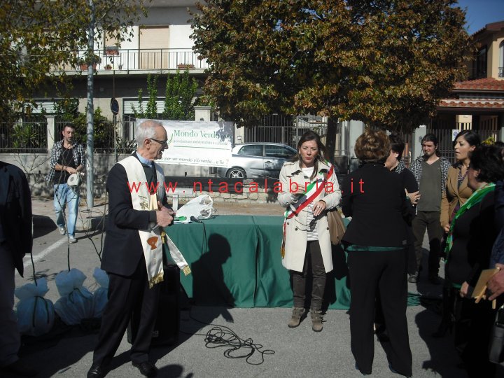 festa-albero-melito-47