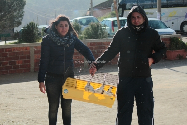 festa-pace-masella-80