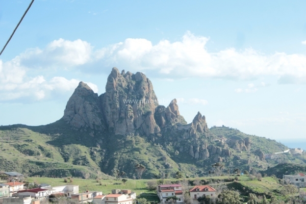 festa-pace-masella-87