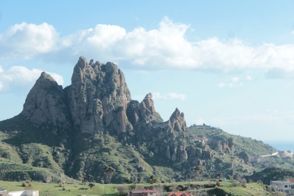 festa-pace-masella-89