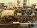 foto-festa-cioccolato-reggio-calabria (6)