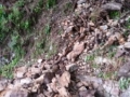 frana-contrada-paci-roccaforte (5)