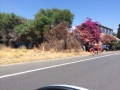 IMG-20140719-WA0001