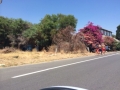 IMG-20140719-WA0002