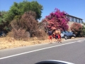 IMG-20140719-WA0006