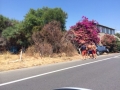 IMG-20140719-WA0007