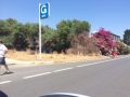 IMG-20140719-WA0008