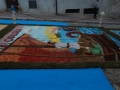 infiorata-com-manuela-arcuri-IMG_6836-37