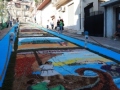 infiorata-com-manuela-arcuri-IMG_6836-38
