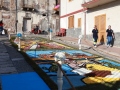 infiorata-com-manuela-arcuri-IMG_6836-46
