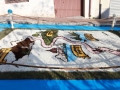 infiorata-com-manuela-arcuri-IMG_6836-49
