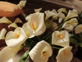 lavanda-piedi-chorio-sl-14