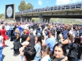 madonna-porto-salvo-2014-147