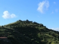 madonna-porto-salvo-2014-025