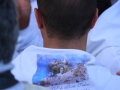 madonna-porto-salvo-2014-095