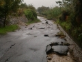 ardore (7)