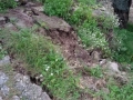 san-nicola-ardore-bombile (1)