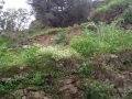 san-nicola-ardore-bombile (5)