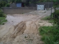 san-nicola-ardore-bombile (6)